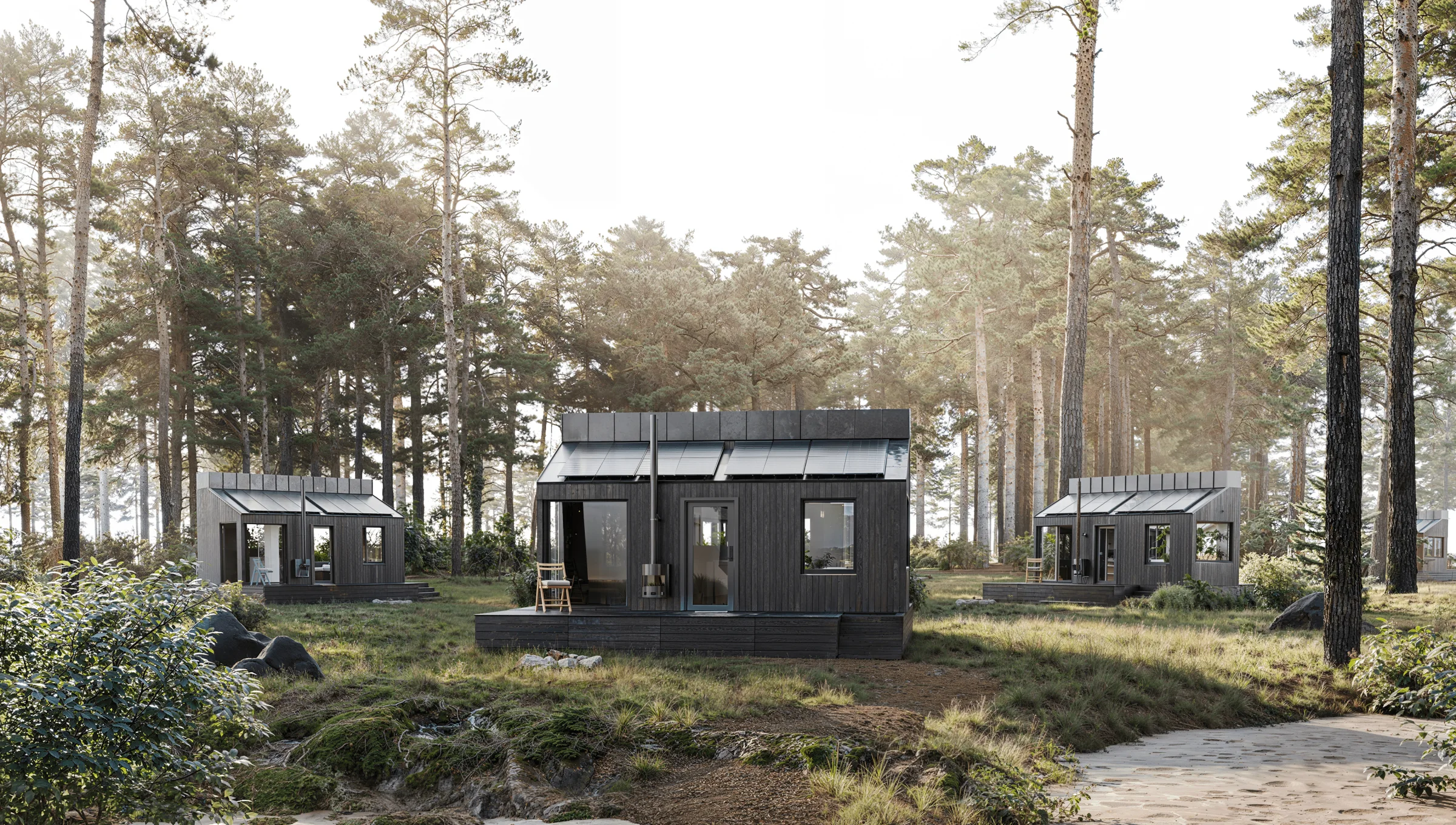 Three ONE Node units spread through a pine forest.